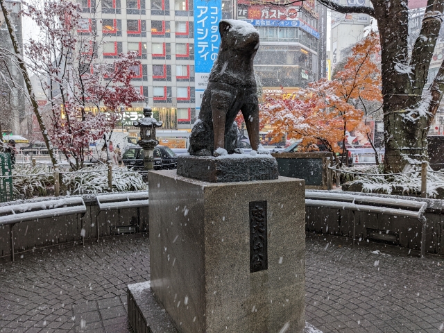 ハチ公
