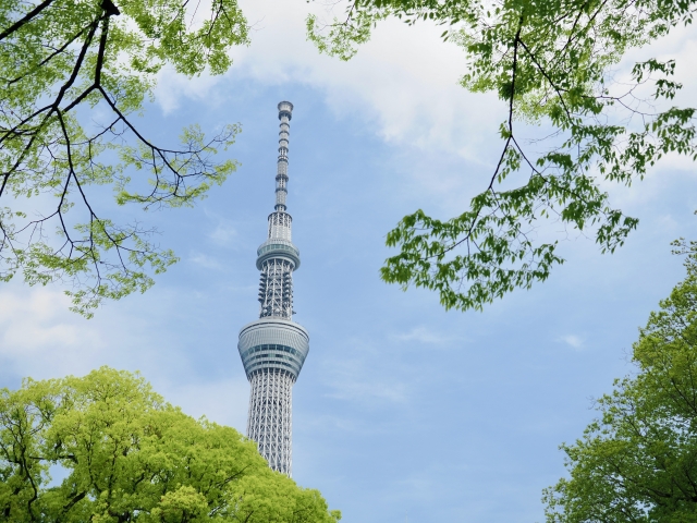 東京スカイツリー