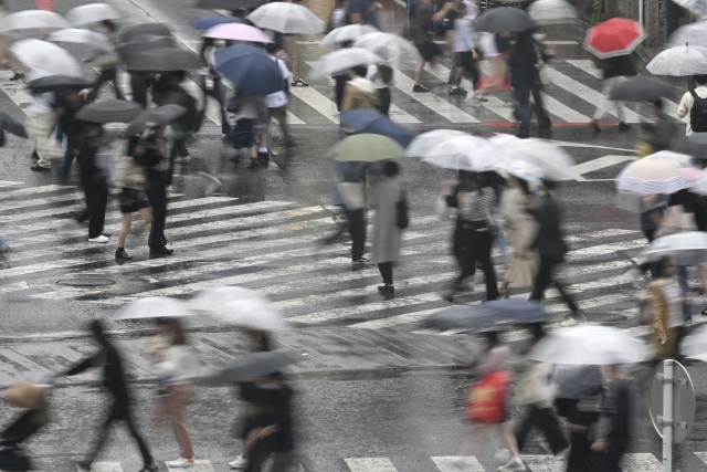 雨宿り