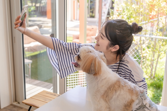 動物カフェ